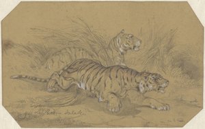 Dos tigres merodeando por la hierba de Raden Sarief Bastaman Saleh