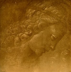 Estudio de una cabeza de ángel de Raffaellino del Garbo