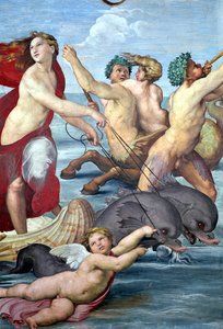 Galatea, detalle de tritones y delfines (detalle) de Raffaello Sanzio Raphael