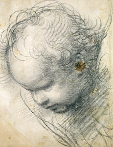 Cabeza de un querubín de Raffaello Sanzio Raphael