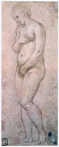 Estudio de Venus de Raffaello Sanzio Raphael