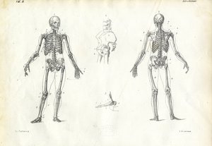 Ser Humano, 1863-79