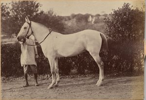  de Raja Deen Dayal
