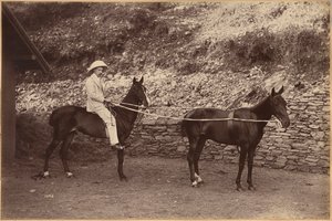 Capitán H. S. Rawhinson (recto) de Raja Deen Dayal