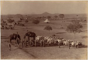 Batería de campaña pesada, Jhansi de Raja Deen Dayal