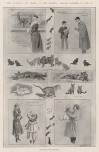 La Exposición Nacional de Gatos en el Crystal Palace, 29 y 30 de octubre