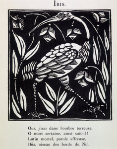 Ibis - en "Le Bestiaire ou cortege d