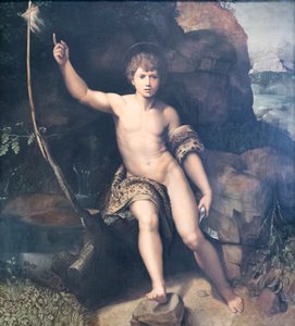 San Juan Bautista de Raphael (1483 1520) (after)