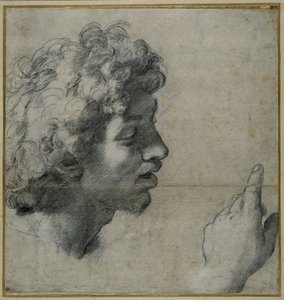 Estudio de cabeza y mano de Raphael