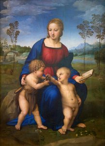 Virgen del Jilguero (Madonna del Cardellino) c.1505-06 (óleo sobre lienzo) (post restauración)