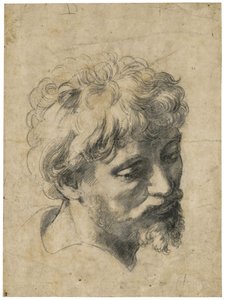 "Retrato de joven apóstol" (Cabeza de joven apóstol) Carbón sobre papel de Rafael (Raffaello Sanzio) (1483-1520) Colección privada