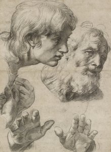 Estudios de las cabezas de dos apóstoles y de sus manos de Raphael