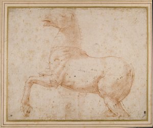 Estudio de un caballo de Raphael