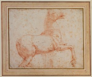 Estudio de uno de los caballos de mármol del Quirinal de Raphael
