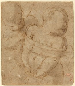 Cupido Atado de Raphael