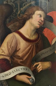 Francés: Ange tenant un phylactère Angel Holding a Phylactery de Raphael