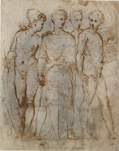 Grupo de guerreros Donatello
