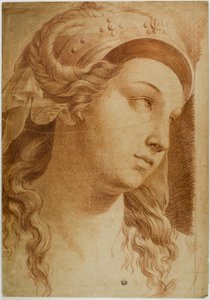Cabeza de Comity de Raphael