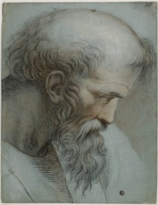 Cabeza de Pitágoras de Raphael