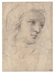 Cabeza de una Musa de Raphael