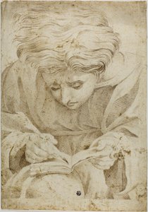 Joven sentado escribiendo en un libro de Raphael