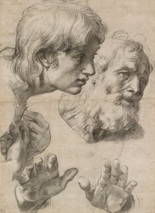 Estudios de las cabezas de dos apóstoles y de sus manos, siglo XVI de Raphael