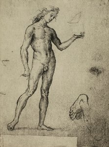 Estudio de desnudo masculino; dibujo de Rafael. Gallerie dell