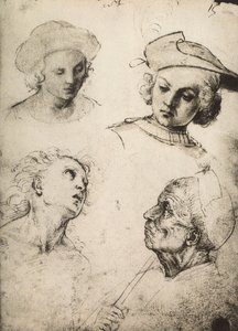 Estudio de cuatro rostros masculinos de Raffaello Sanzio Raphael