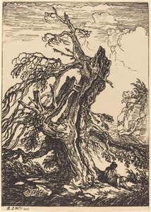 Estudio de un árbol de Raphael Lamar West