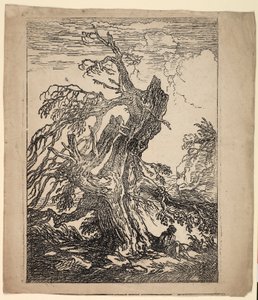 Estudio de un Árbol de Raphael Lamar West