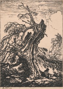 Estudio de un árbol de Raphael Lamar West