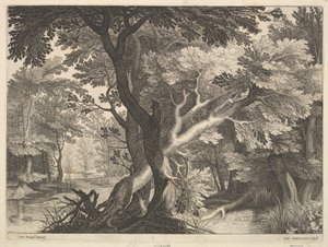 Paisaje boscoso de Raphael Sadeler