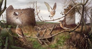 Fieldfares en Eccup, West Yorkshire de Raymond Booth