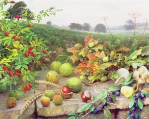 Recogida de la cosecha silvestre de Raymond Booth