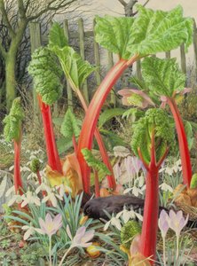 In the Rhubarb Patch, 2000 (óleo sobre tabla) de Raymond Booth
