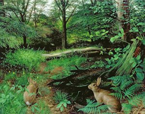 In the Woods - A Midsummer Evening (óleo sobre tabla) de Raymond Booth