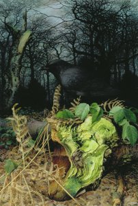 Mediados de invierno en el bosque de Raymond Booth
