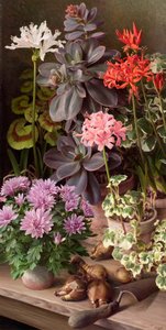 Flores de octubre de Raymond Booth