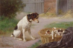Una madre orgullosa, c.1910 de Raymonde Lynde