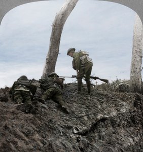 Batalla de Polygon Wood, cerca de Ypres, Flandes, Bélgica, Primera Guerra Mundial, septiembre 1917 de Realistic Travels Publishers