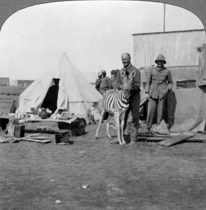 Artilleros sudafricanos con su cebra mascota, África Oriental, Primera Guerra Mundial, 1914-1918 de Realistic Travels Publishers