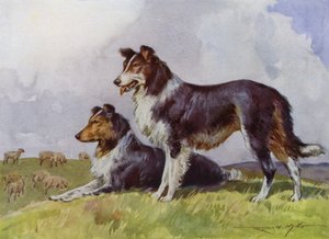 Ilustración para Mi granja (litografía en color) de Reginald Mills