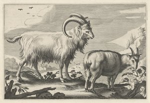 Paisaje montañoso con dos cabras Diversa Animalia Quadrupedia (título de la serie) de Reinier van Persijn