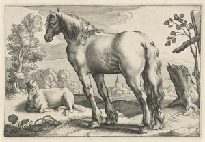 paisaje con dos caballos Diversa Animalia Quadrupedia (título de la serie) de Reinier van Persijn