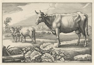 pasto con vacas Diversa Animalia Quadrupedia (título de la serie) de Reinier van Persijn