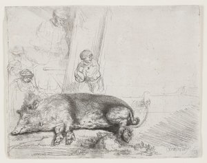 El cerdo de Rembrandt van Rijn