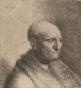 Hombre calvo con capa de piel, c. 1630 de Rembrandt van Rijn