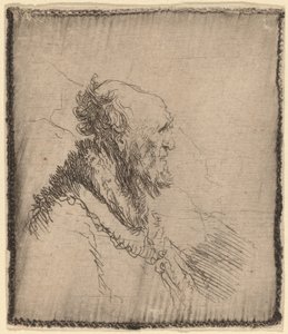 Viejo calvo con barba corta de perfil, c. 1635 de Rembrandt van Rijn