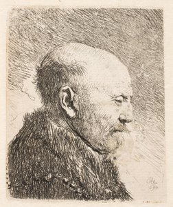 Hombre calvo de perfil (¿padre de Rembrandt?) de Rembrandt van Rijn