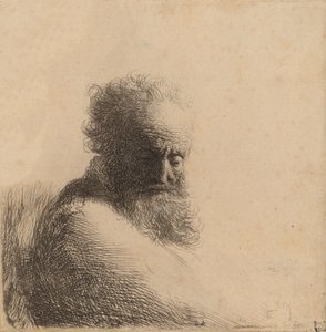 Busto de un Hombre Viejo con Barba, Mirando Hacia Abajo, Tres Cuartos a la Derecha de Rembrandt van Rijn